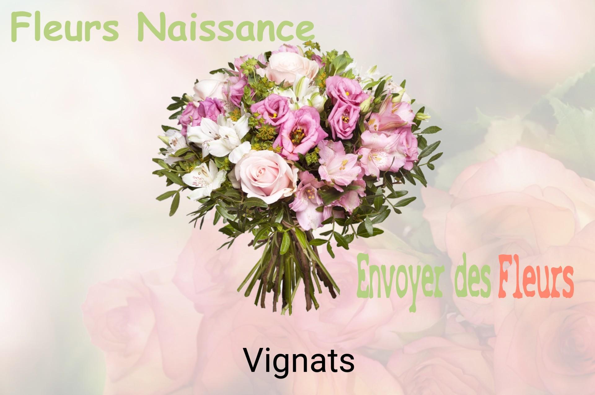 Bouquet de fleurs de naissance livré à Vignats