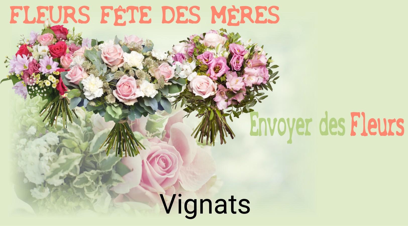 Bouquet de Fête des Mères livré à Vignats